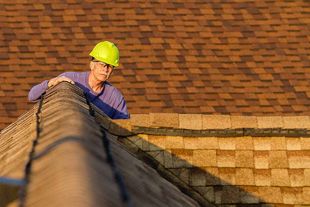 Best Roof Repair Services  in Crystal Falls, MI