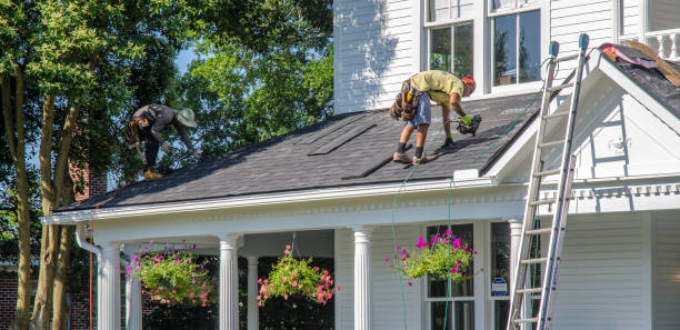 Best Roof Repair Specialists  in Crystal Falls, MI