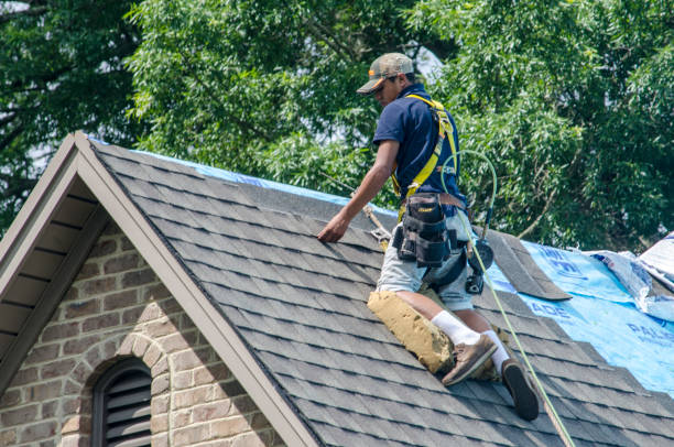 Best Residential Roofing Contractor  in Crystal Falls, MI
